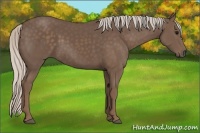 Horse Color:Silver Black 