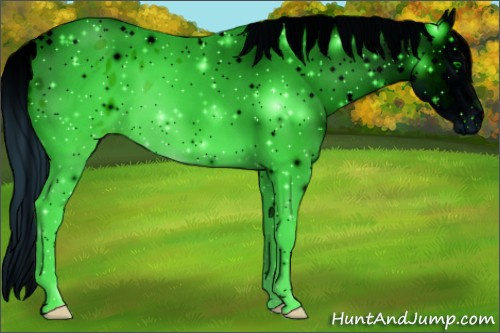 Horse Color: ERROR: UNKNOWN ANOMALY