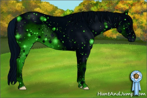 Horse Color: ERROR: UNKNOWN ANOMALY