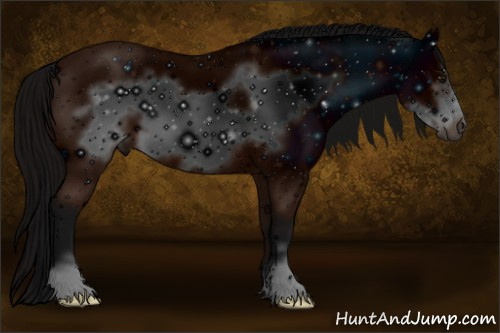 Horse Color: ERROR: UNKNOWN ANOMALY