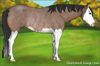 Horse Color:Bay Roan Splash Rabicano 