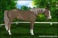 Horse Color:Chocolate Palomino Splash 
