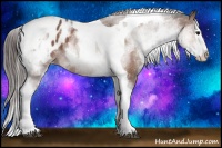 Horse Color:White Spotted Bay Splash Tobiano Blanket 