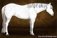 Horse Color:White Spotted Bay Snowcap Rabicano 