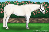 Horse Color:Buckskin Ice Roan Pearl Splash