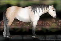 Horse Color:Gray Bay Dun