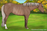 Horse Color:Silver Brown Rabicano 