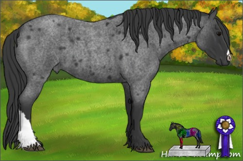 Horse Color: Brown Roan 