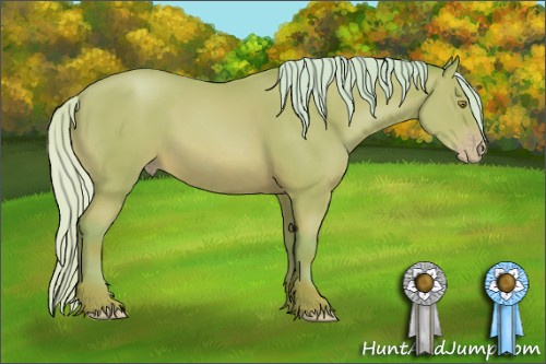 Horse Color: Watercolor Silver Sable Champagne 