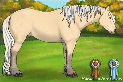 Horse Color: Silver Buckskin 