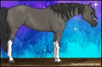 Horse Color:Grullo 