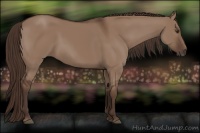 Horse Color:Liver Red Dun