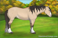 Horse Color:Bay Roan Dun Splash 
