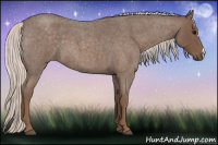 Horse Color:Silver Blue Roan