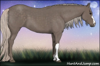Horse Color:Silver Blue Roan 