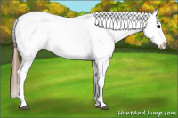 Horse Color:White Spotted Black Splash Frame Appaloosa 