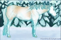 Horse Color:Gray Thunderstruck Silver Amber Cream Champagne Dun Splash 