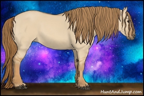 Horse Color: Red Dun 