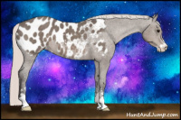 Horse Color:Silver Black Sabino Appaloosa