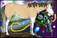 Horse Color:Buckskin Dun Splash 