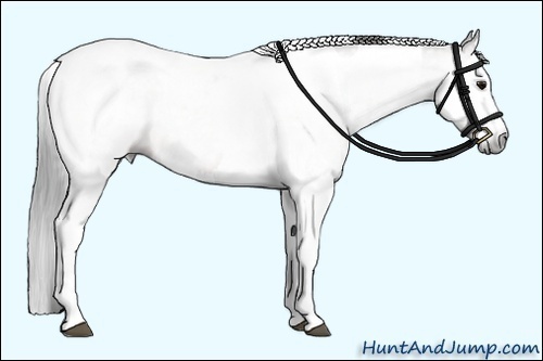 Horse Color:Gray Bay Splash Tobiano