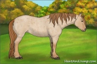 Horse Color:Red Dun Roan 