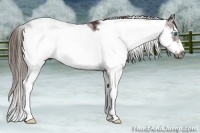 Horse Color:Liver Chestnut Sabino Frame 