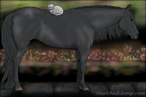Horse Color: Black 