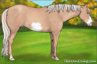 Horse Color:Silver Sable Champagne Frame 