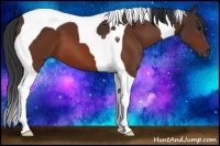 Horse Color:Bay Tobiano 