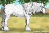 Horse Color:Blue Roan Splash Snowflake Varnish