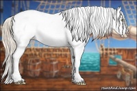 Horse Color:Gold Champagne Snowcap 