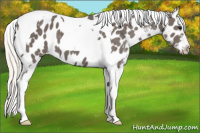 Horse Color:Silver Smoky Black Tobiano Near Leopard 