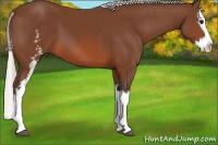 Horse Color:White Spotted Silver Brown Splash 