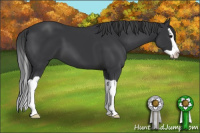 Horse Color:Brown Splash