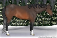 Horse Color:Brown 