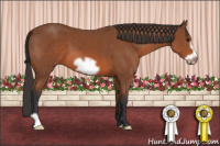 Horse Color:Bay Frame 