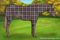 Horse Color:Plaid  Liver Chestnut 