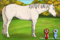 Horse Color:Perlino Roan 