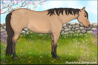 Horse Color:Bay Roan Dun 