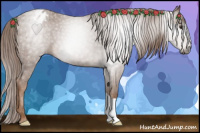 Horse Color:Gray Chestnut Blanket 