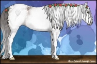 Horse Color:Gray White Spotted Brown Blanket 