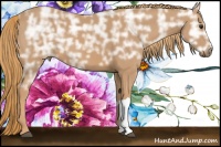 Horse Color:Chestnut Ice 