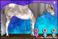 Horse Color:White Spotted Bay Splash Tobiano Frame Appaloosa