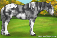 Horse Color:White Spotted Black Splash Tobiano Frame Blanket 