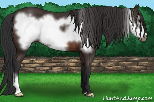 Horse Color: Brown Frame 
