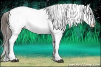 Horse Color:Buckskin Near Fewspot 