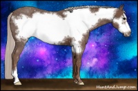 Horse Color:Silver Black Frame