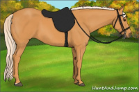 Horse Color:Chocolate Palomino 
