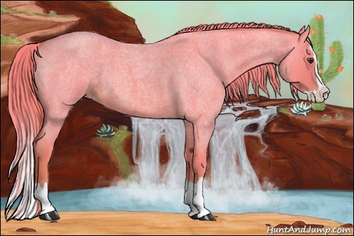 Horse Color: Watercolor Red Roan Splash 